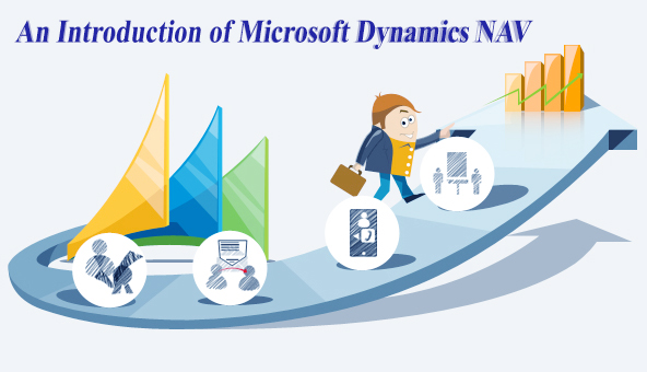 Microsoft Dynamics ERP